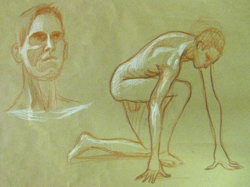 telegraph-20141106-01