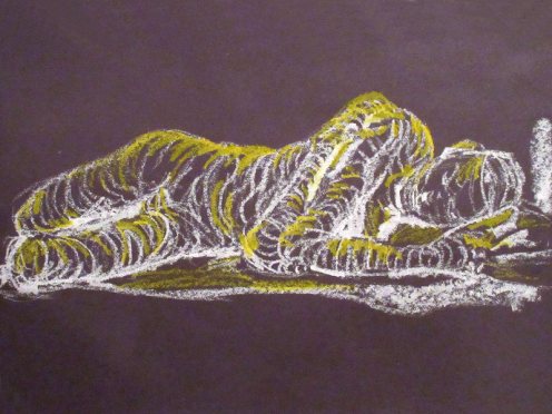 pigeonhole-20151001-10