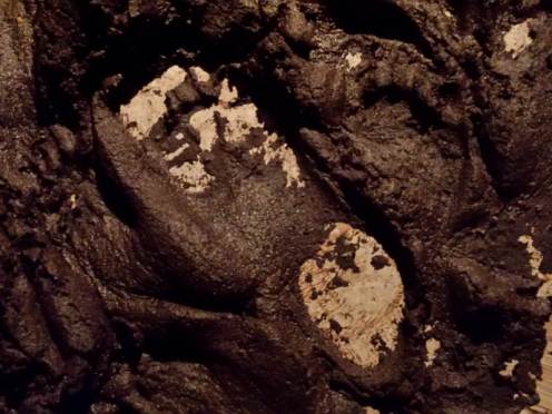 footfall-20170203-03